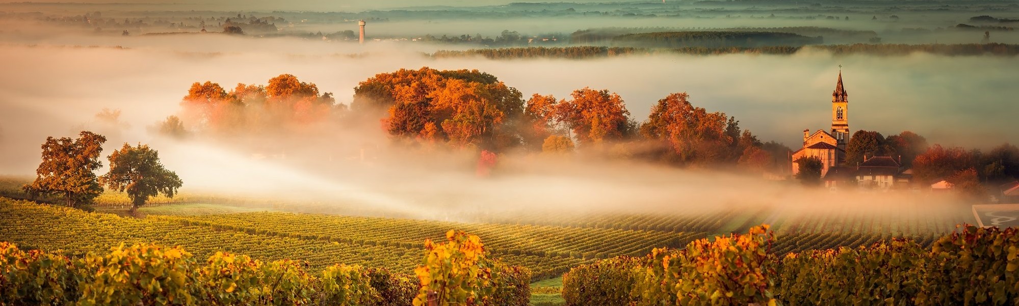 Wine Tours in France 2024 Top Ch teaux Exclusive 5 Dining