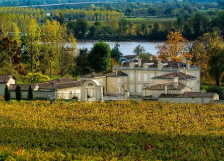 Vineyards of Fronsac in the Fall