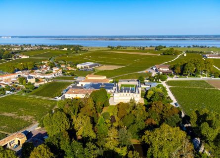 Vineyards of Haut-Medoc on the Banks of the Gironde