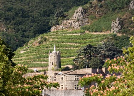 Chapoutier: South facing terraced vineyards