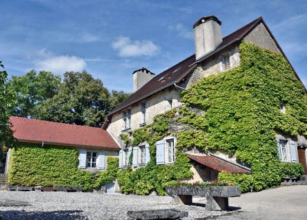 Maison Domaine Berthet Bondet: A renowned producer of vin Jaune