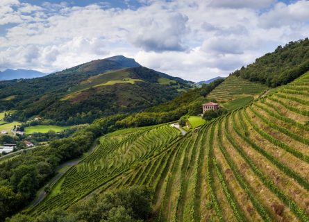 The steep terraced vineyards of Irouleguy