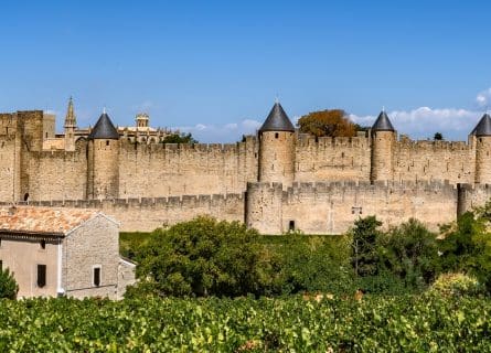 Languedoc Wine Tour