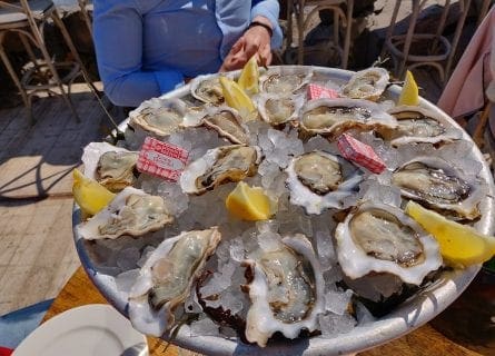 Delicious Bouzigues oysters in Marseillan