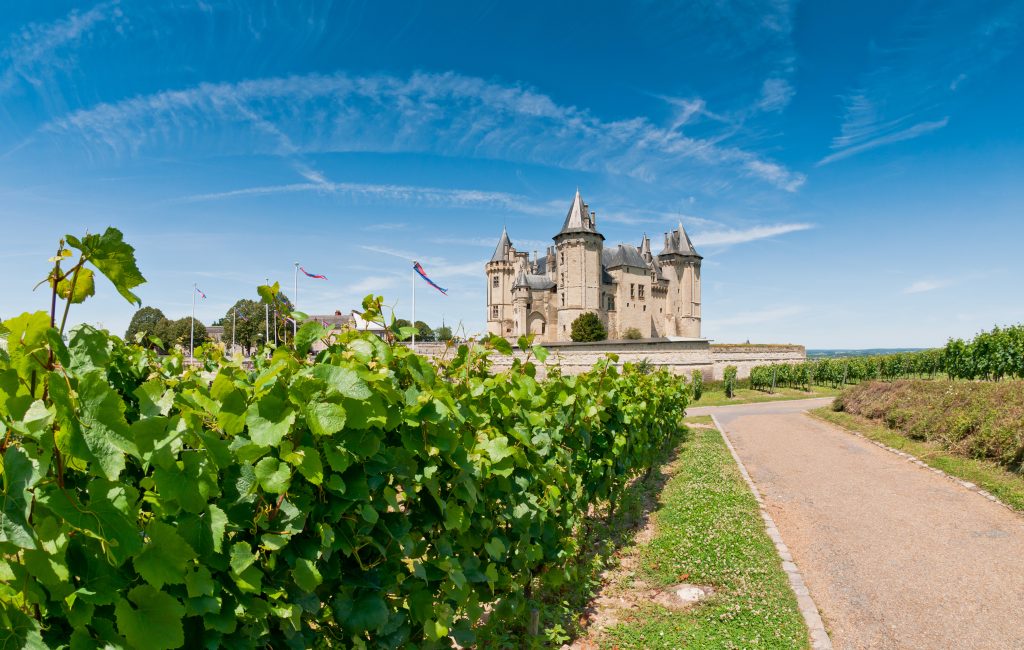 Scenic Vineyards in Saumur