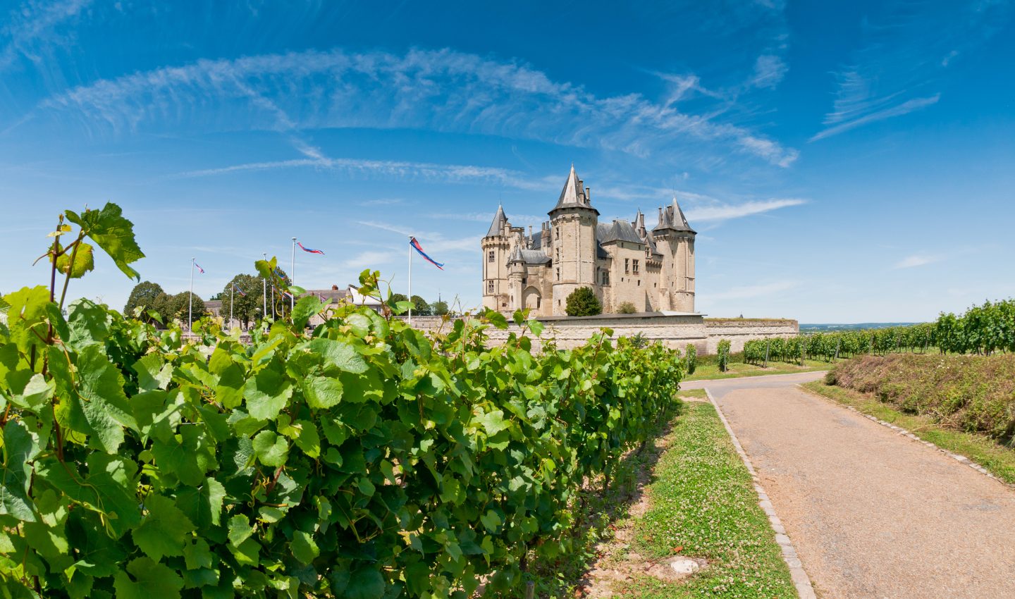 Scenic Vineyards in Saumur Scenic Vineyards in Saumur