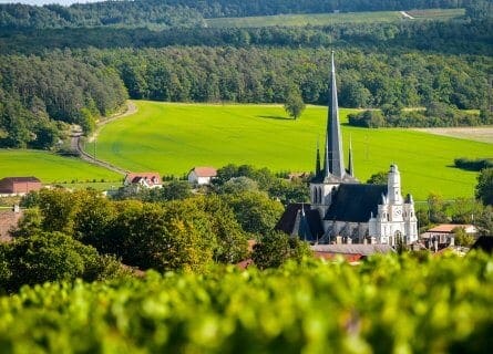 Champagne Vineyards