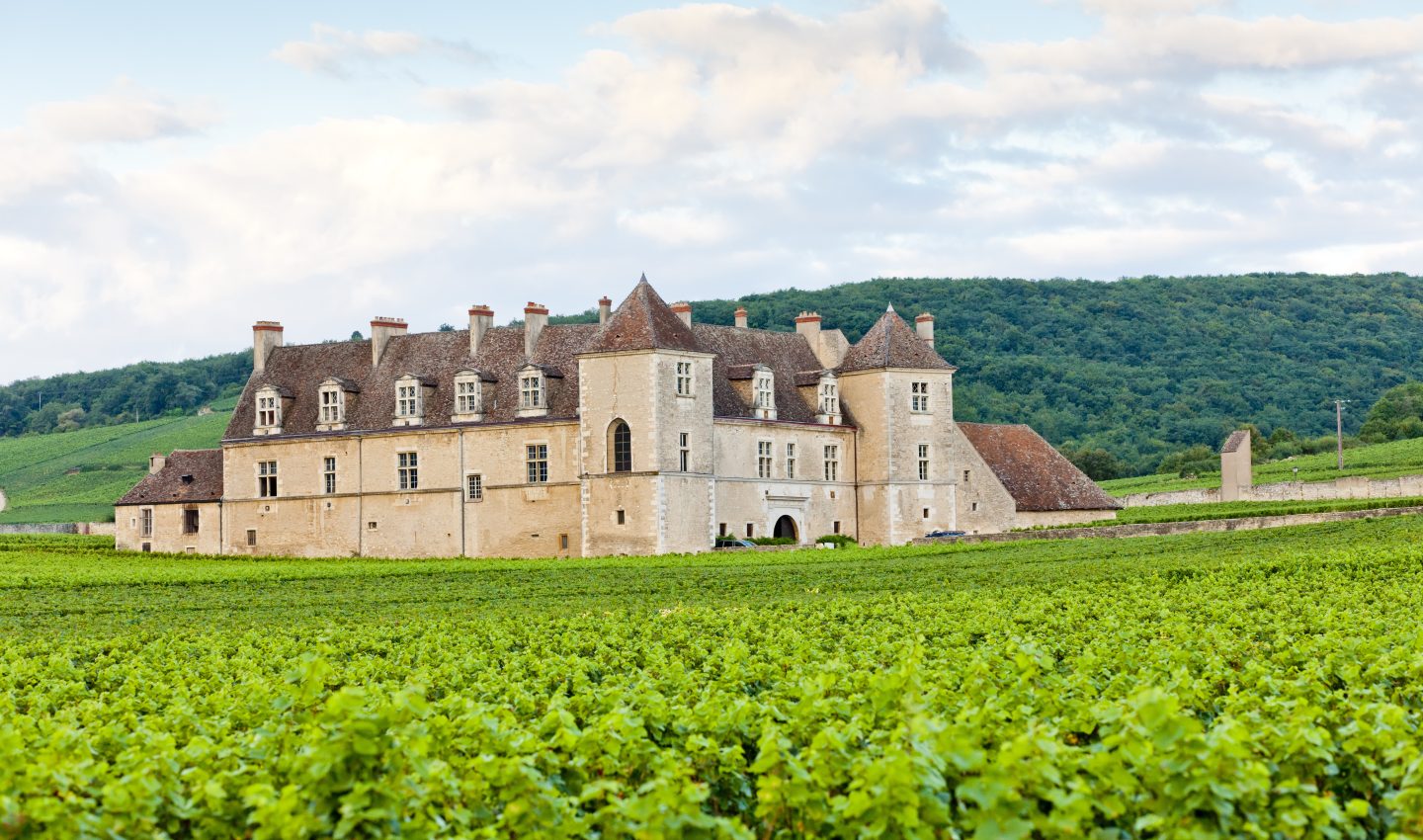 Clos de Vougeot