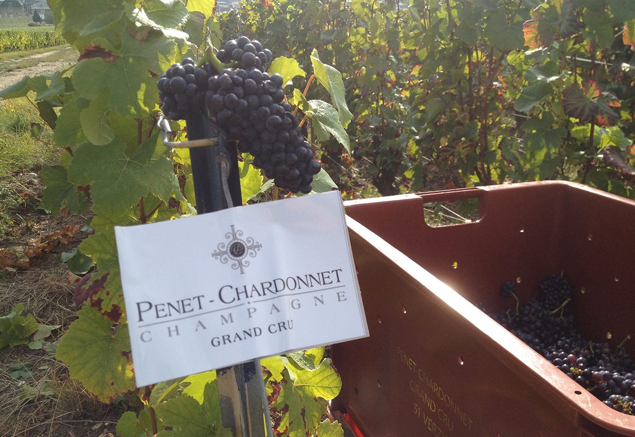 Maison Penet-Chardonnet