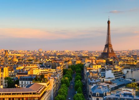 French Wine Odyssey