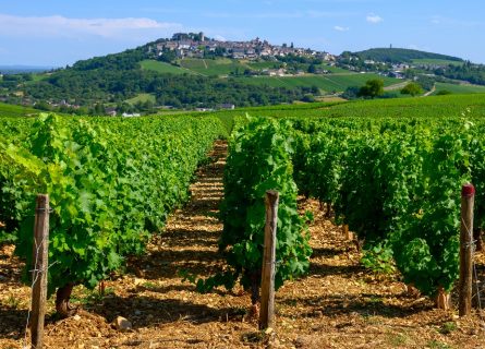 Bucolic hilltop town of Pouilly-sur-Loire surrounded by vineyards