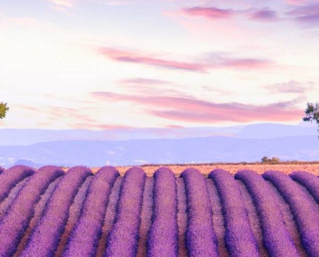 Private Wine Tours in Provence