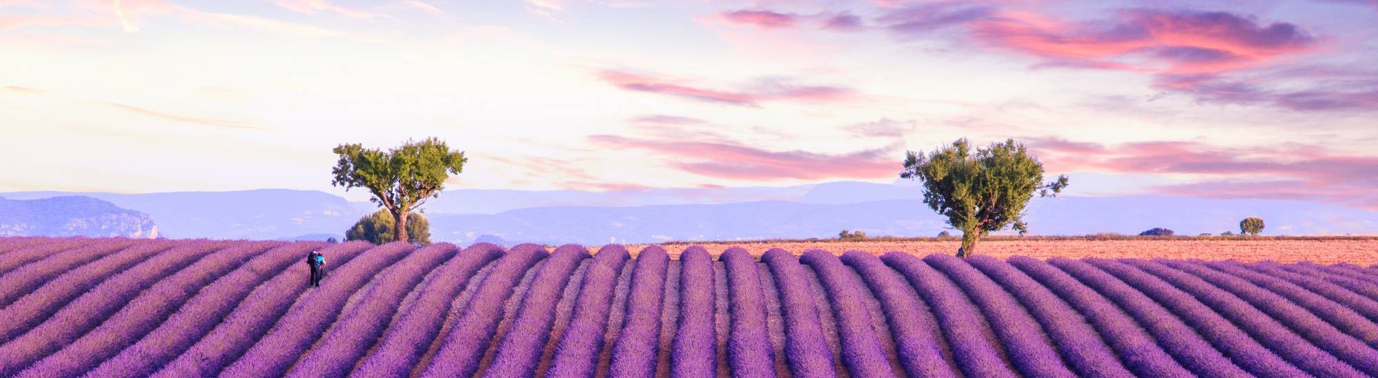 provence - provence wine tour 1