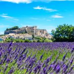 Rhône Wine Tour