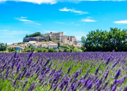 Rhône Wine Tour