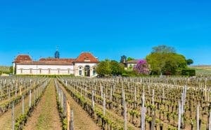 Chateau Angelus, Saint Emilion Chateau Angelus, Saint Emilion