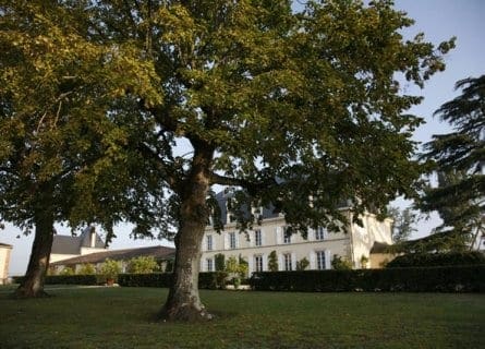 Château Guiraud.