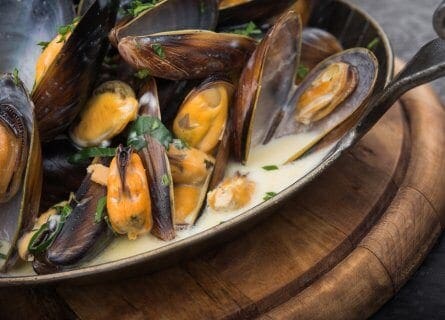 Mussels with cream, white wine