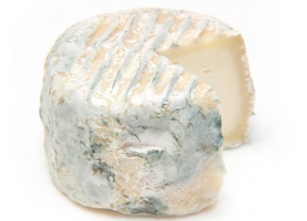 Gourmet Cheese, Crottin de Chavignol from the village of Chavignol