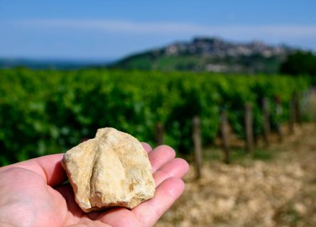 Terres Blanches clay-limestone white soils on vineyards around Sancerre