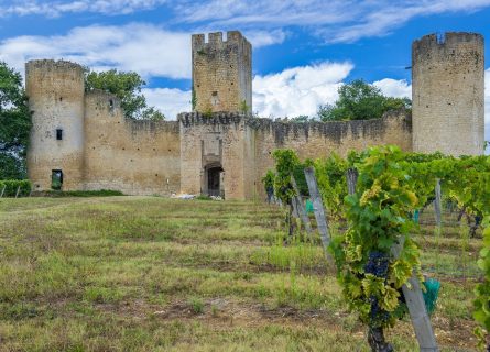 Château de Budos a 13th century castle is largely the work of Raymond Guilhem de Budos, nephew of Pope Clement V