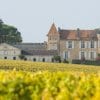 Sauternes Wine Tour