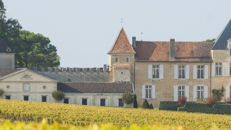 Sauternes Wine Tour — 1 Day