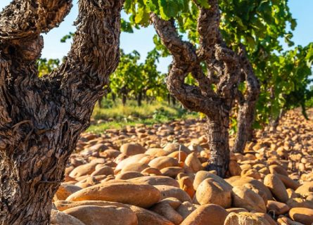 Galets Roules, heat-absorbing rocks