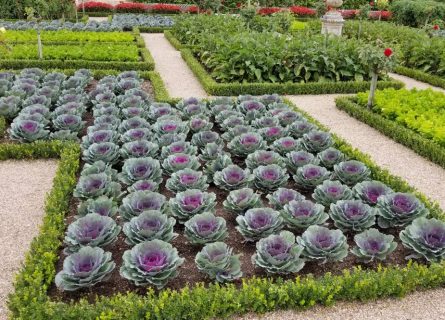 Loire, the Garden of France