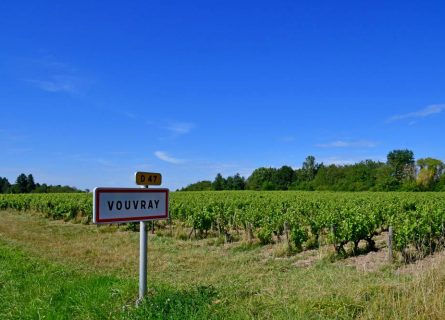 Vouvray Vineyards