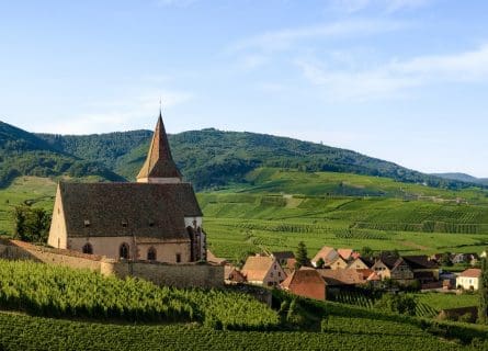 alsace wine region