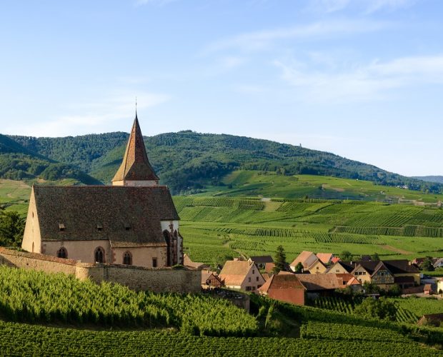 Alsace Wine Region Guide