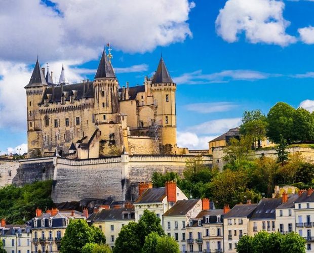 Anjou-Saumur Wine Region Guide