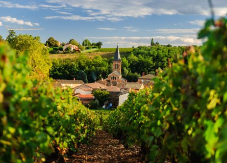 beaujolais-wine-region