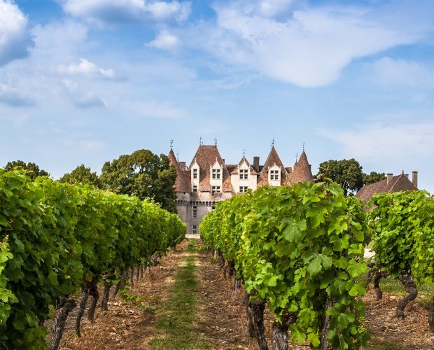 Bergerac Wine Region Guide