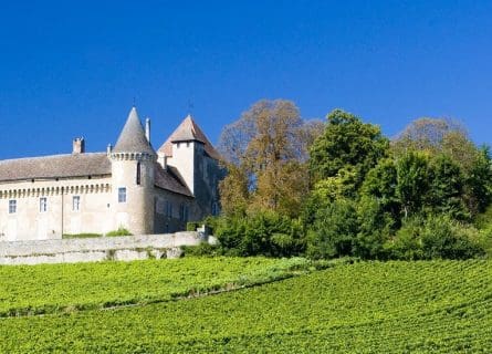 burgundy-wine-region