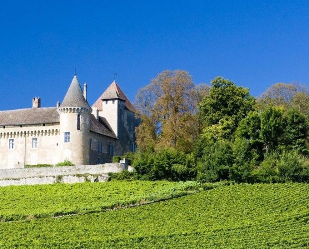 Burgundy Wine Regions Guide