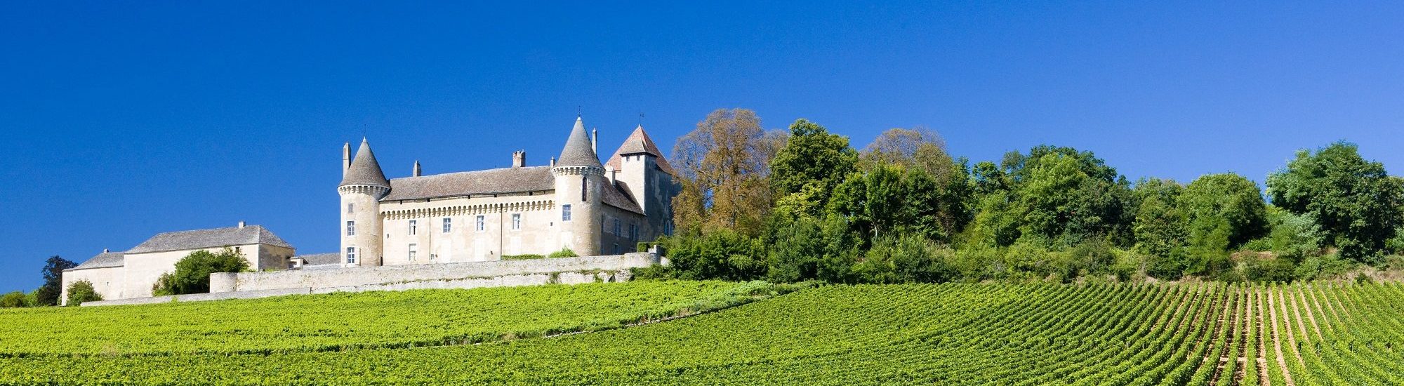 Burgundy Wine Regions Guide