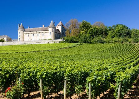 burgundy-wine-region