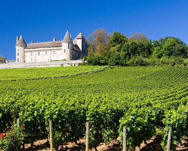 Burgundy Wine Regions Guide