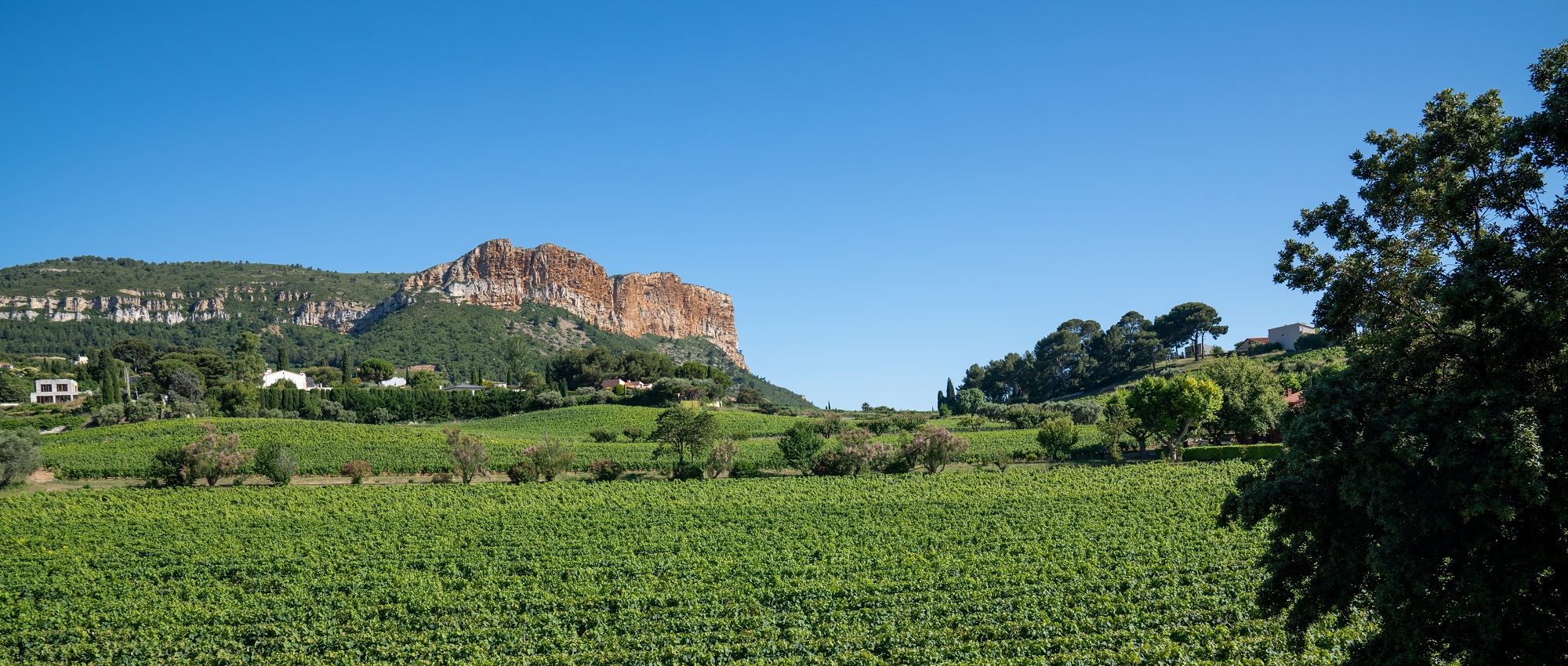 Cassis Wine Region » Provence » Cellar Tours