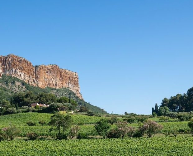 Cassis Wine Region Guide