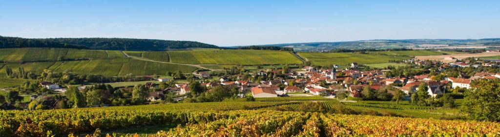 Luxury Private Champagne Wine Tour