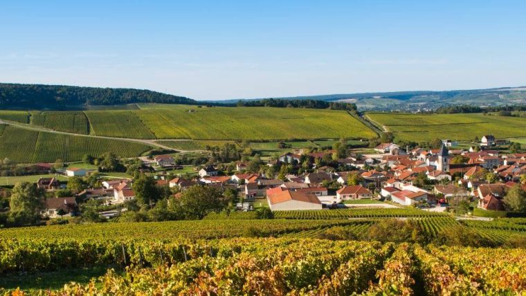 Private Champagne Wine Tours