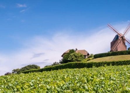 champagne-wine-region