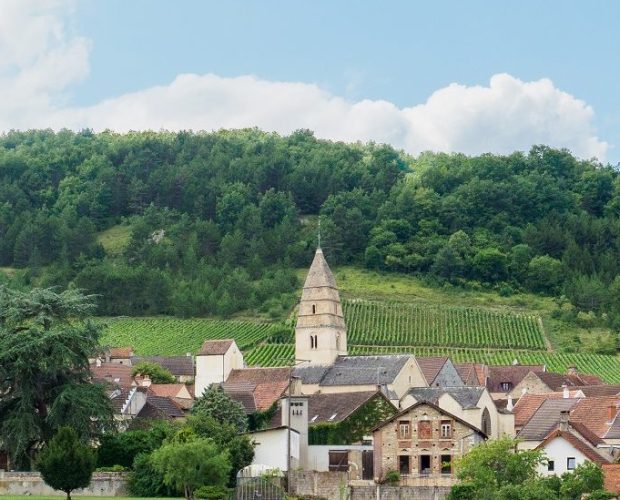 Côte Chalonnaise Wine Region Guide