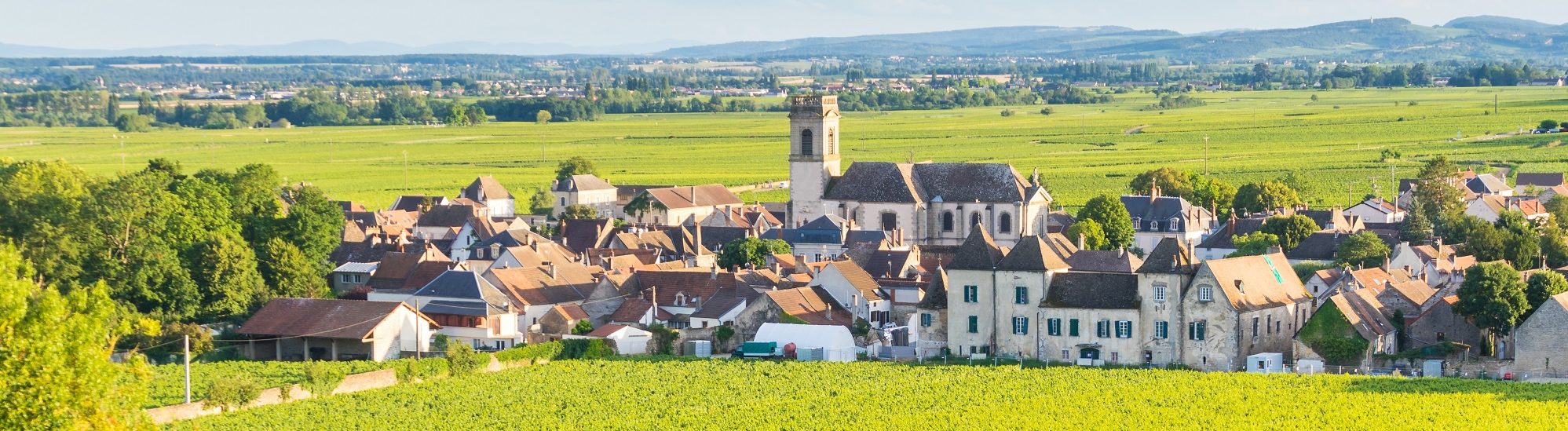 Côte de Beaune Wine Regions a Guide by Cellar Tours™