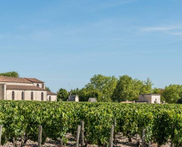 Côtes de Bourg Wine Region Guide