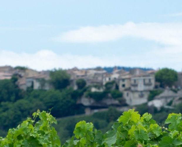 Côtes du Rhône Wine Region Guide