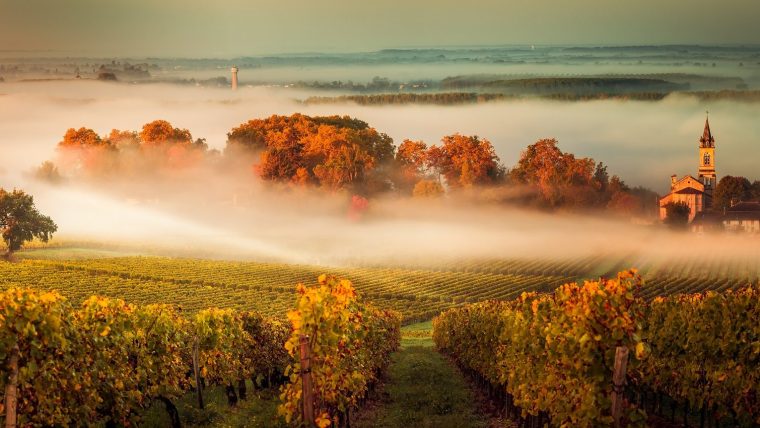 france-wine-regions